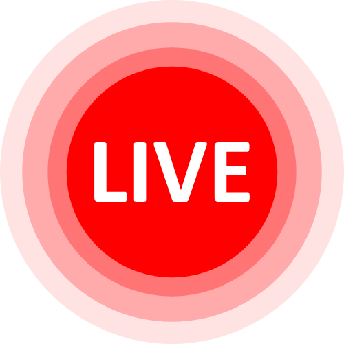 Lirio05 Cam